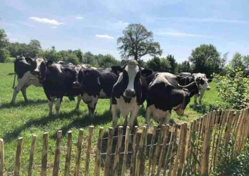 Statige Boerderijwoning Met Vrij Uitzicht En Tuin Villa Hoogzand Eksteriør bilde